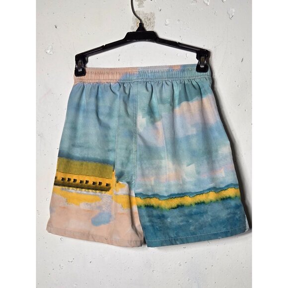 Scene & Heard Boys Swim Trunks Size 14/16 Pool Beach Vacation Landscape Colorful - Picture 2 of 9
